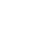 Brand Logo 2