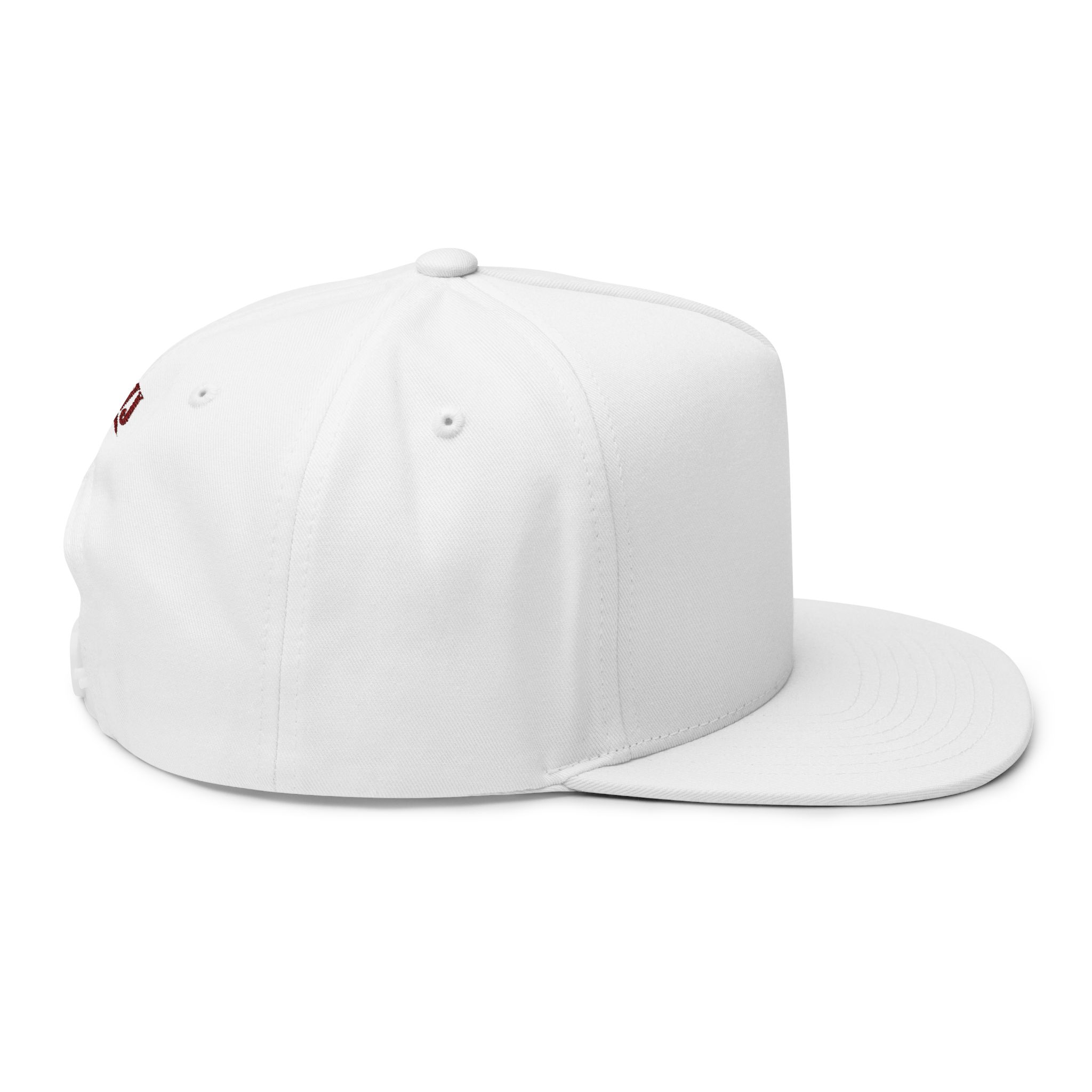 IWJ Circle Cross Snapback Hat | Brown Offset Edition - Image 4