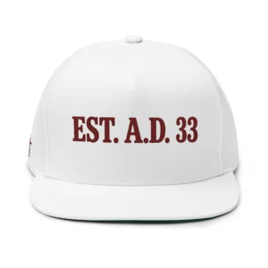 IWJ EST. A.D. 33 Snapback Hat | Brown Embroidered Hat