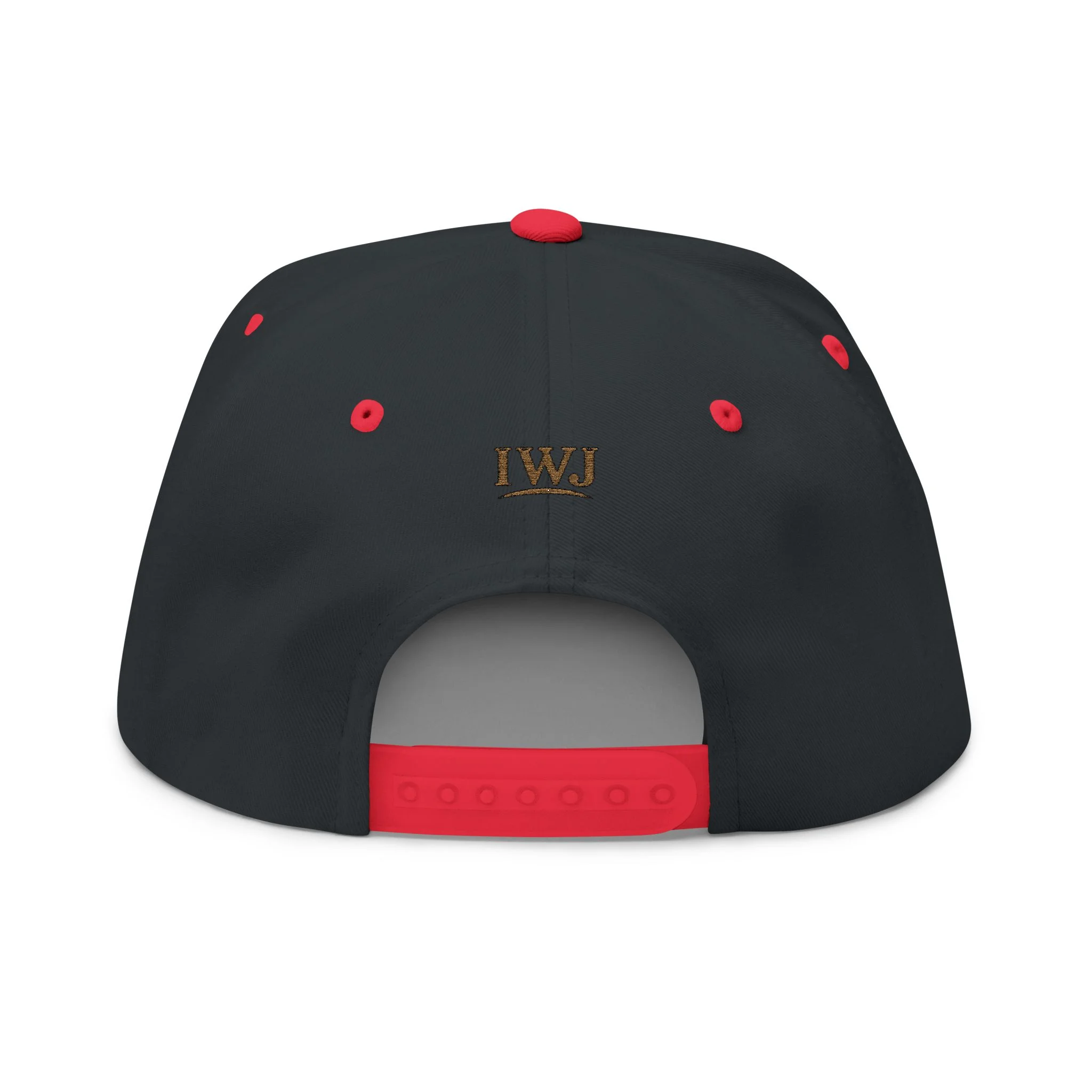 IWJ Signature Galatians Snapback Hat | Embroidered Offset - Image 8